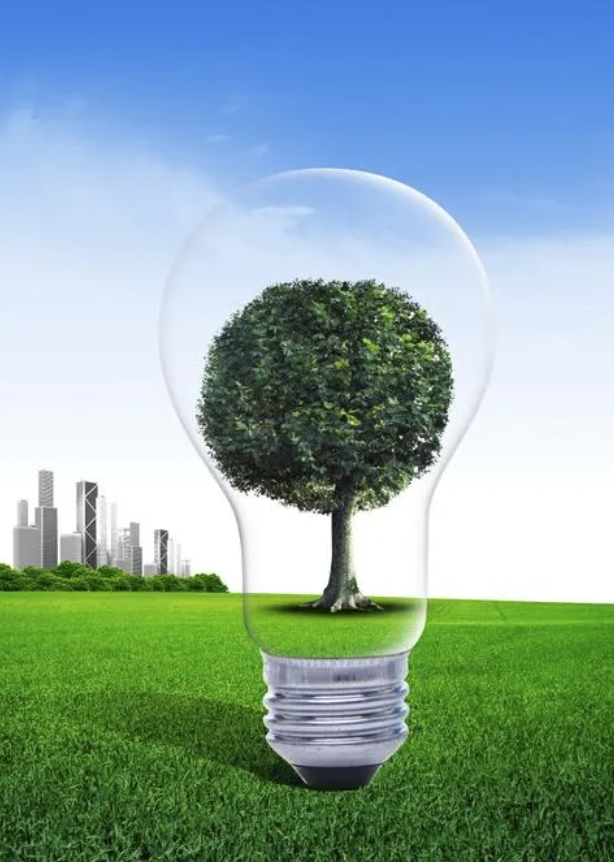 碳中和設(shè)計(jì)規(guī)劃